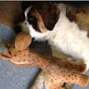 Meet your Posher, Reshma